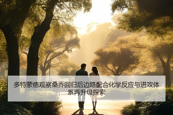 多特蒙德观察桑乔回归后边路配合化学反应与进攻体系再升级探索